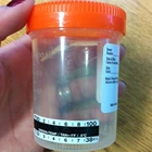 Liquid Crystal Urine Specimen Cup Thermometer Strip