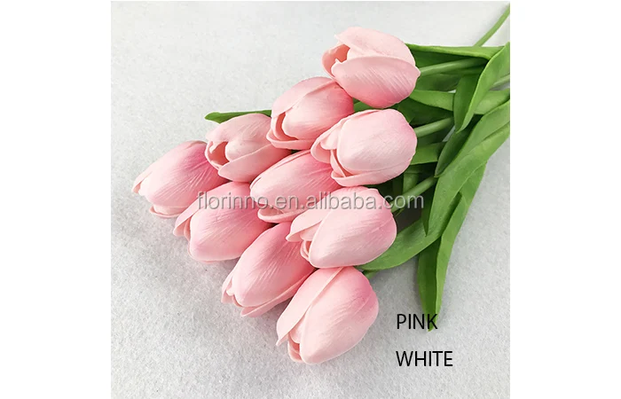 PINK WHITE PU tulip 2.jpg