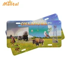 Customized OEM custom vehicle license plates custom vintage license plates decorative car license plates