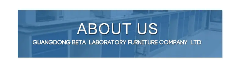 Good Price Fast Delivery Best After-Sales Service High Quality Factory Supplier University School Dental Physics Chemical Biology Lab Furniture Resist Strong Alkali And Acid Of Epoxy Resin Phenolic Resin Worktop Work Bench C Frame H Frame Floor Mounted Wood Stainless Steel Structure Cabinet Laboratory Furniture