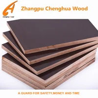 Building Construction Material Eucalyptus Shuttering Ply