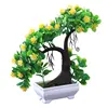 /product-detail/table-decoration-ornaments-home-furnishings-decorating-artificial-small-plant-62017975527.html