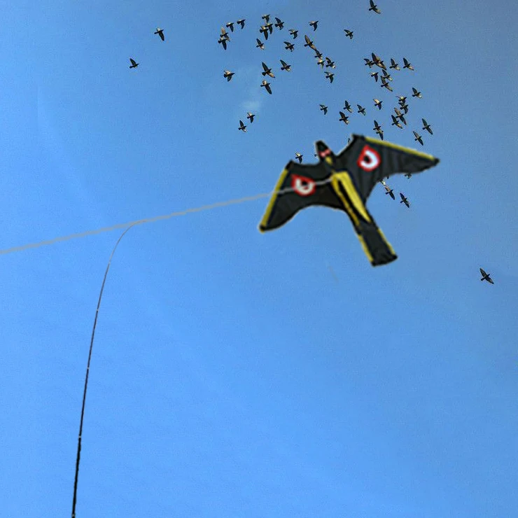 Черный нейлон Сова воздушный змей в форме ястреба напугать птиц от фабрика бумажного змея