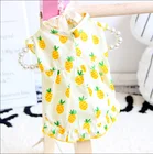 Summer thin section casual breathable small pet strawberry figure cat shirt dog dress