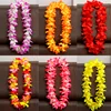 Hawaiian Lei Garlands, Rainbow Coloured Hula Luau Leis