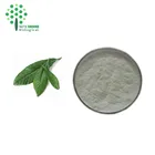 Pure Natural Folium Eriobotryae extract 25% 98% Ursolic acid