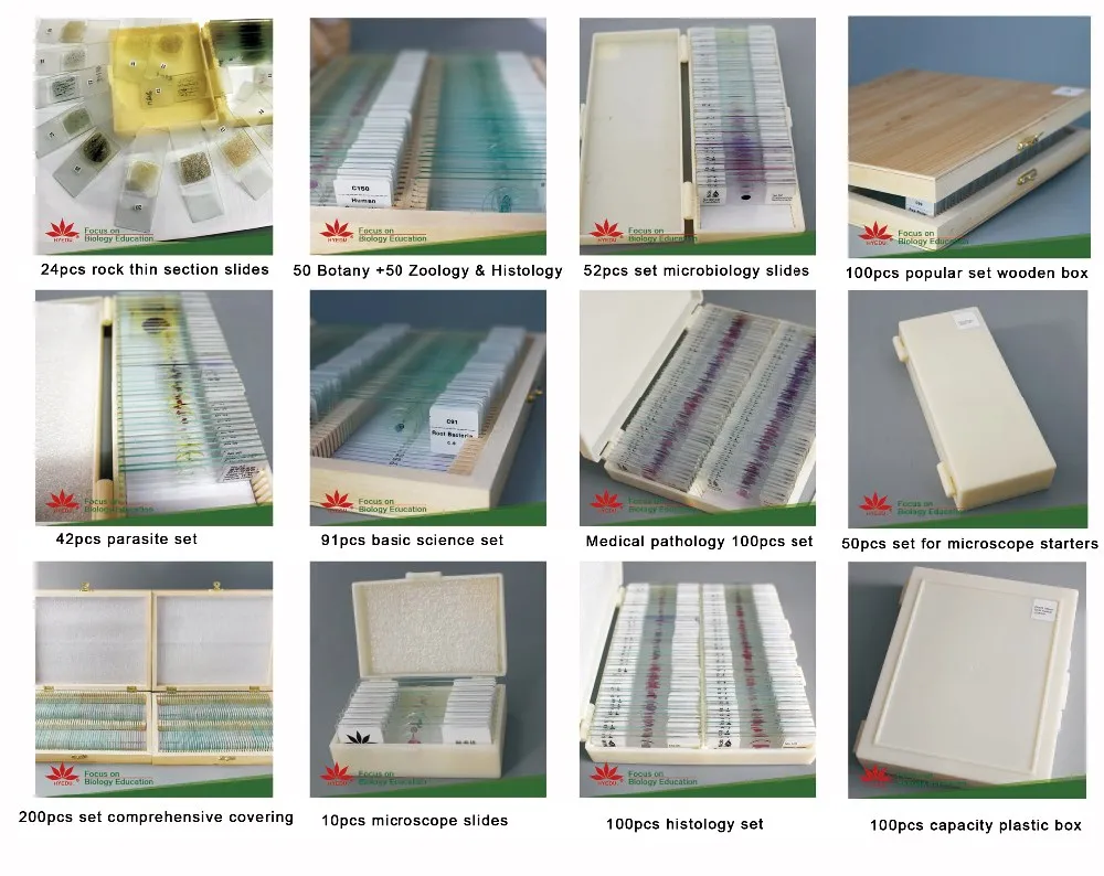 Most popular 100pieces Slide Storage wooden microscope slides box