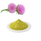 HONGDA Supply Silybin Milk Thistle Extract Powder Silymarin Milk Thistle Extract / Silymarin