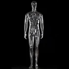 Cheap male transparent clear plastic fashion full body mens mannequin for sale