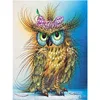 Paint By Number Kits Oil Painting, Painting By Numbers Digital Oil Owl On Canvas With Frame For Kits