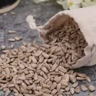Bulk Factory Direct Helianthus Annuus Sunflower Seeds for Bird Feed