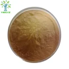 Green tea leaf extract green tea extract polyphenols 30%~98% EGCG 45%