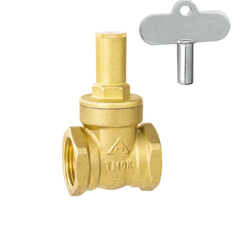 High quality brass gate valve thermostatic electric valve aortic valves