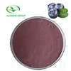 ISO top quality natural organic freeze dried blueberry powder
