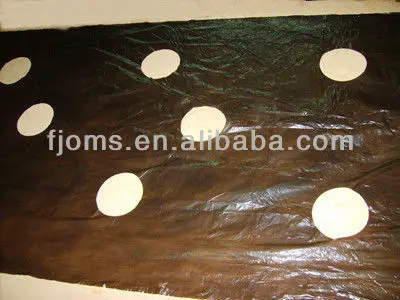 perforated mulch plastic for vegetable plantation_.jpg