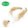 Organic certified panax ginseng extract ginsenosides msds