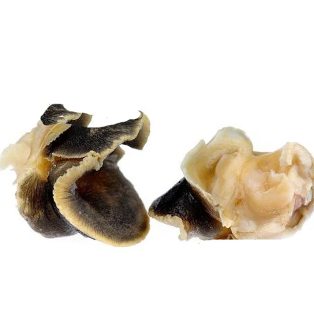 snail frozen meat