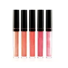 5 PCS LIP GLOSS SET PROFESSIONAL HIGH SHINE SHIMMERING MUST HAVE SHADES