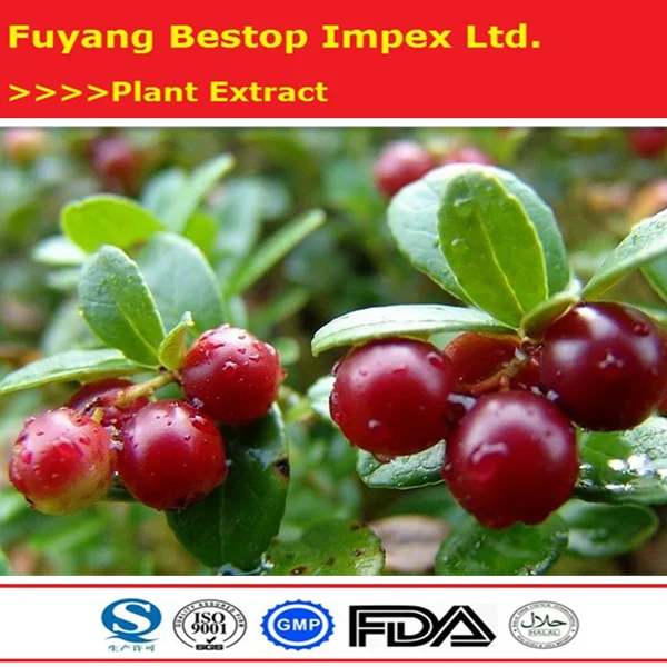 Cowberry Extract (3).png