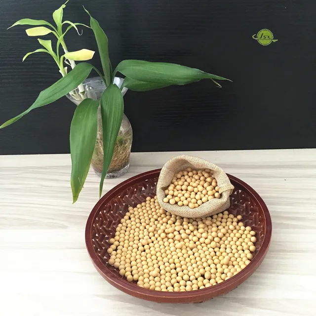 bean sprouts soybean