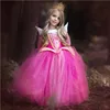 Bulk Wholesale Kids Cinderella Costumes Baby Girl Birthday Party Fancy Cosplay Dress SMR003