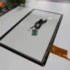 15.6,17.3, 18.5, 19, 21.5,23.6, 23.8,27,32, 42, 43,49, Inch Multitouch Capacitive Large Panel Touch Screen 55 Pollici