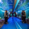 PG Modern Design Custom Transparent Acrylic Tunnel Aquarium