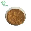 /product-detail/male-health-raw-powder-black-maca-root-extract-powder-60790032222.html