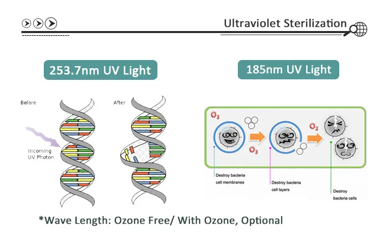 water bottle sterilization uvc light quartz 254nm