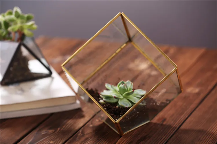 glass terrarium (2).jpg