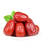 Chinese organic red dates sweet jujube fresh jujube fruit