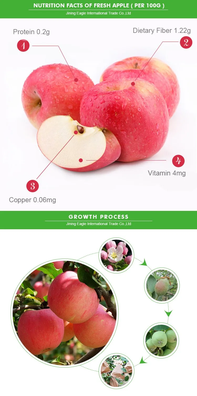 golden delicious apples China Dehydrated Garlic Spices Supplier