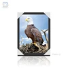/product-detail/bird-painting-art-3d-bird-picture-3d-picture-of-bird-60802754371.html
