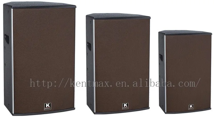 China Manufacturer 15 Inch Professional Passive Speaker