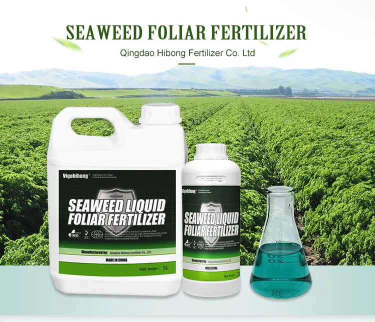 Seaweed Liquid Foliar Fertilizer Alga Fertilizer Brown Liquid Seaweed Extract