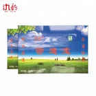 China Manufacturer Powder Pipe Cleaners Unclog Sewer/Sink/Toilet line/drain
