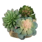 Plants Furniture Potted Succulents Artificial Plant Artificial Succulent Plants With Yellow Pots For Furniture Decoration