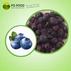hot sale dry blueberry freeze-dried type fruits powder freeze dried blueberry