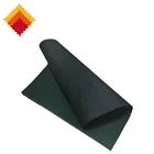 Nylon waterproof coated fabric for sport bags