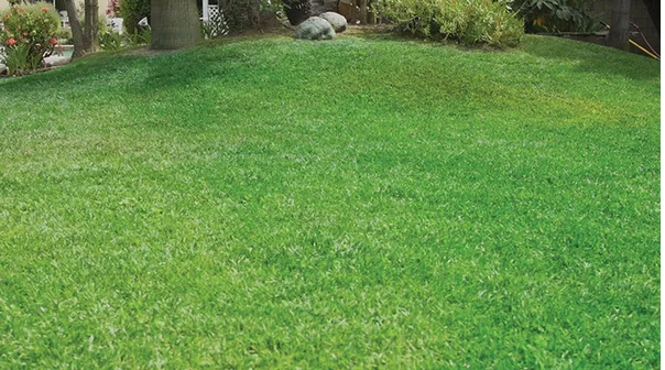 Seed sprayer-5.png