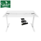 Ergonomic Office Furniture 2 Motors table Height Adjustable Electric standing desk for custom