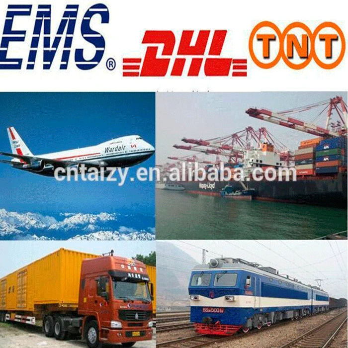 Hot sale Multi-functional oil extraction plant/home olive auto oil press machine