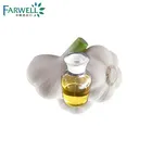 Glass Container Seed Farwell Pure Garlic Seed Oil for Natural Essential Oil FCC Grade Cas#8000-78-0