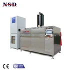 NSD Ultrasonic Cleaner