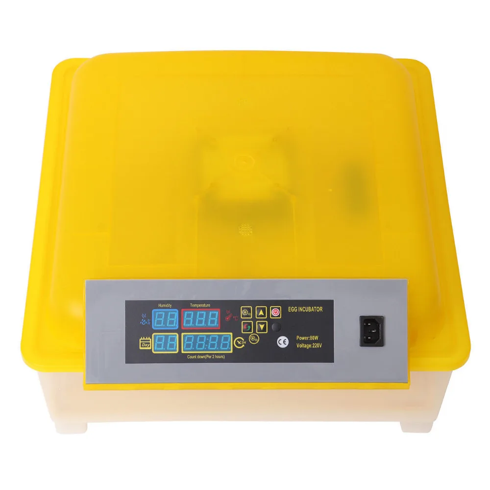 s-l1600