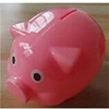 Animal Plastic Pig Money Bank
