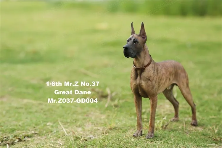 mr.z top quality 1/6 great dane dog statue resin