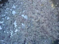 OULENO Large multifunctional fruit and vegetable fruit and vegetable dicing dicing machine cutting machine mango Apple ham Ding