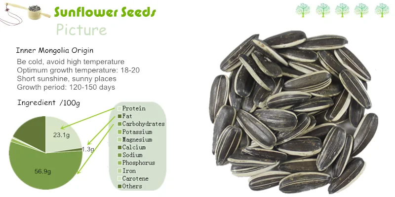 sunflower seeds bulk bird seeds buy high quality sunflower seeds bulk bird seeds buy high quality