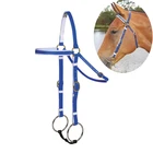 Horse Equipment Colorful PVC Western Horse Bridle